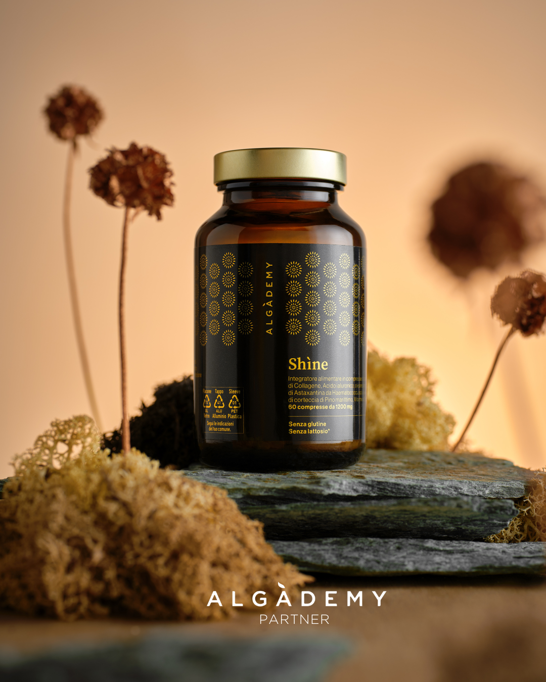 Algademy integratori