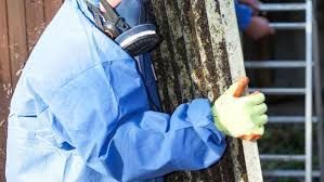 A person in protective gear performing mold removal