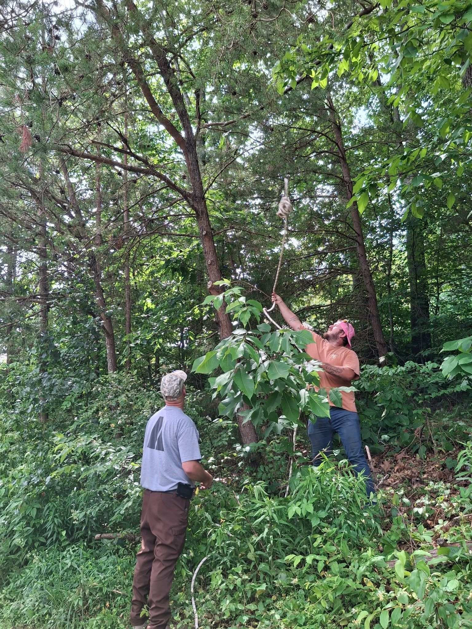 Two people in wooded area, one reaching up to branch. Person wears hat, other wears gray shirt and brown pants.