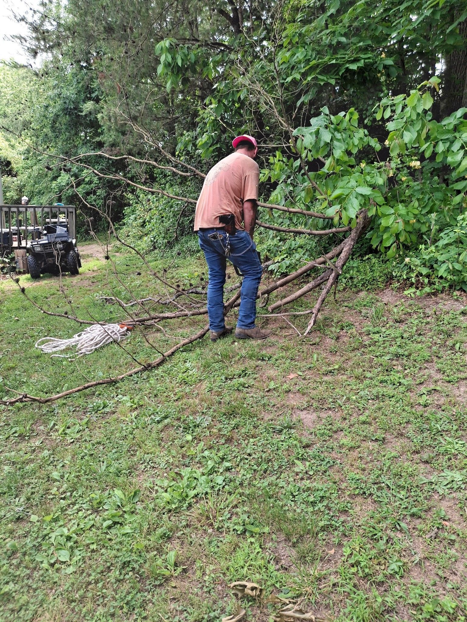 Person cutting branches with a saw outside. They wear jeans, a red hat, and an orange shirt. A small vehicle is in the background.