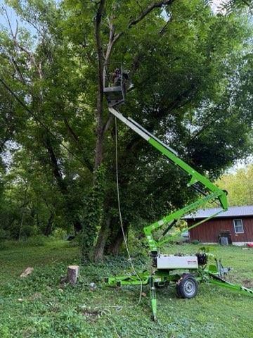A tree service worker in a lift trimming a tree. Green lift, grassy yard, and small building.