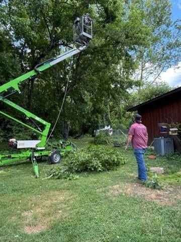 Man in backyard watches tree trimming from a green lift platform, branches on the ground.