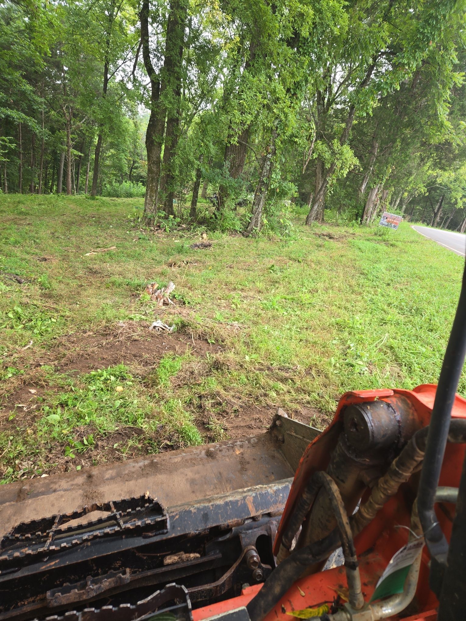 A skid steer clears vegetation near a road and trees. Green grass, brown soil, and forest background.
