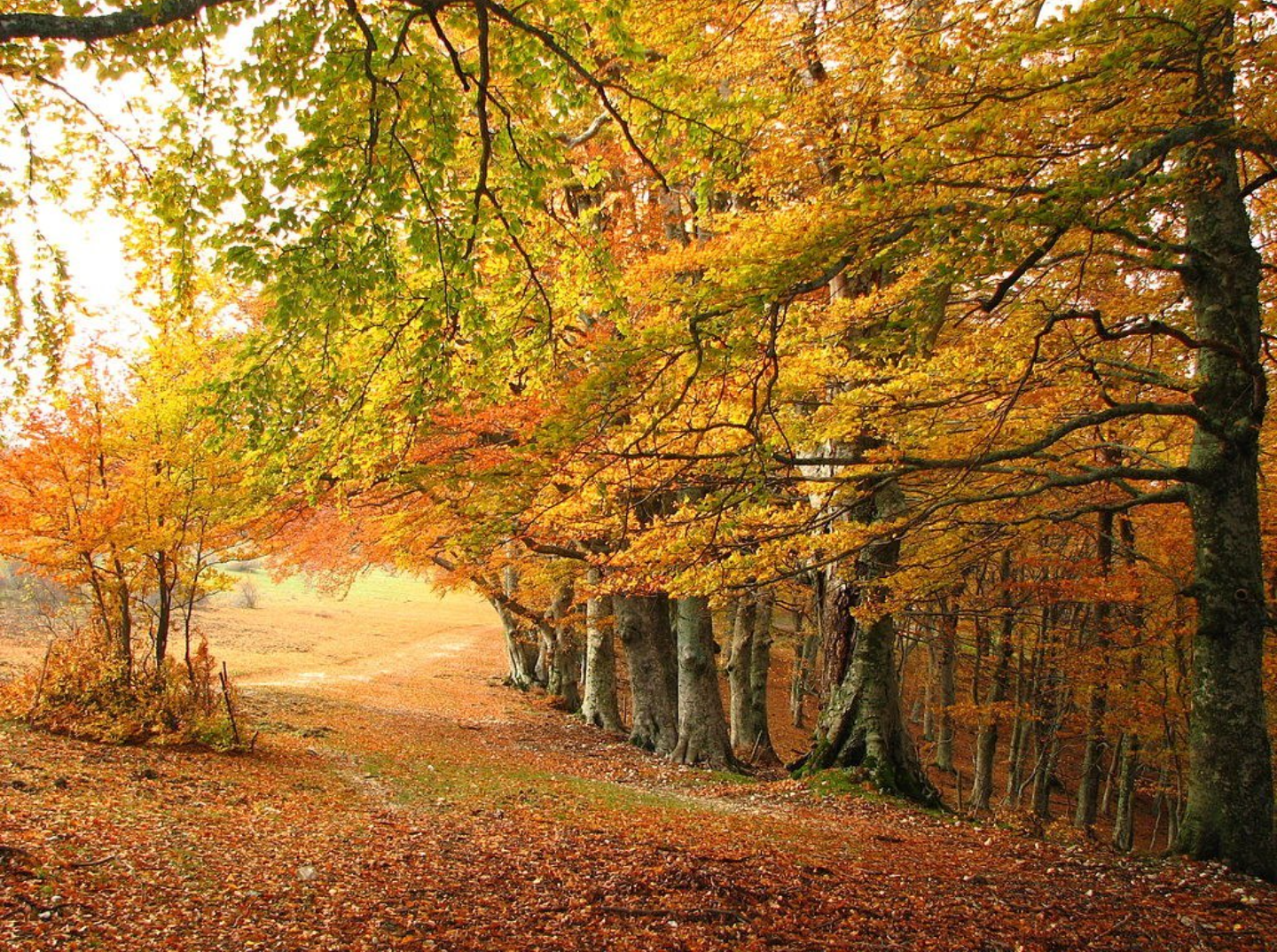 Panoramisch uitzicht op bergen en meer onder bewolkte hemel.