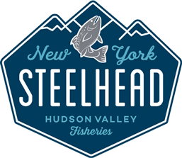 Logo: Blue and white diamond with 