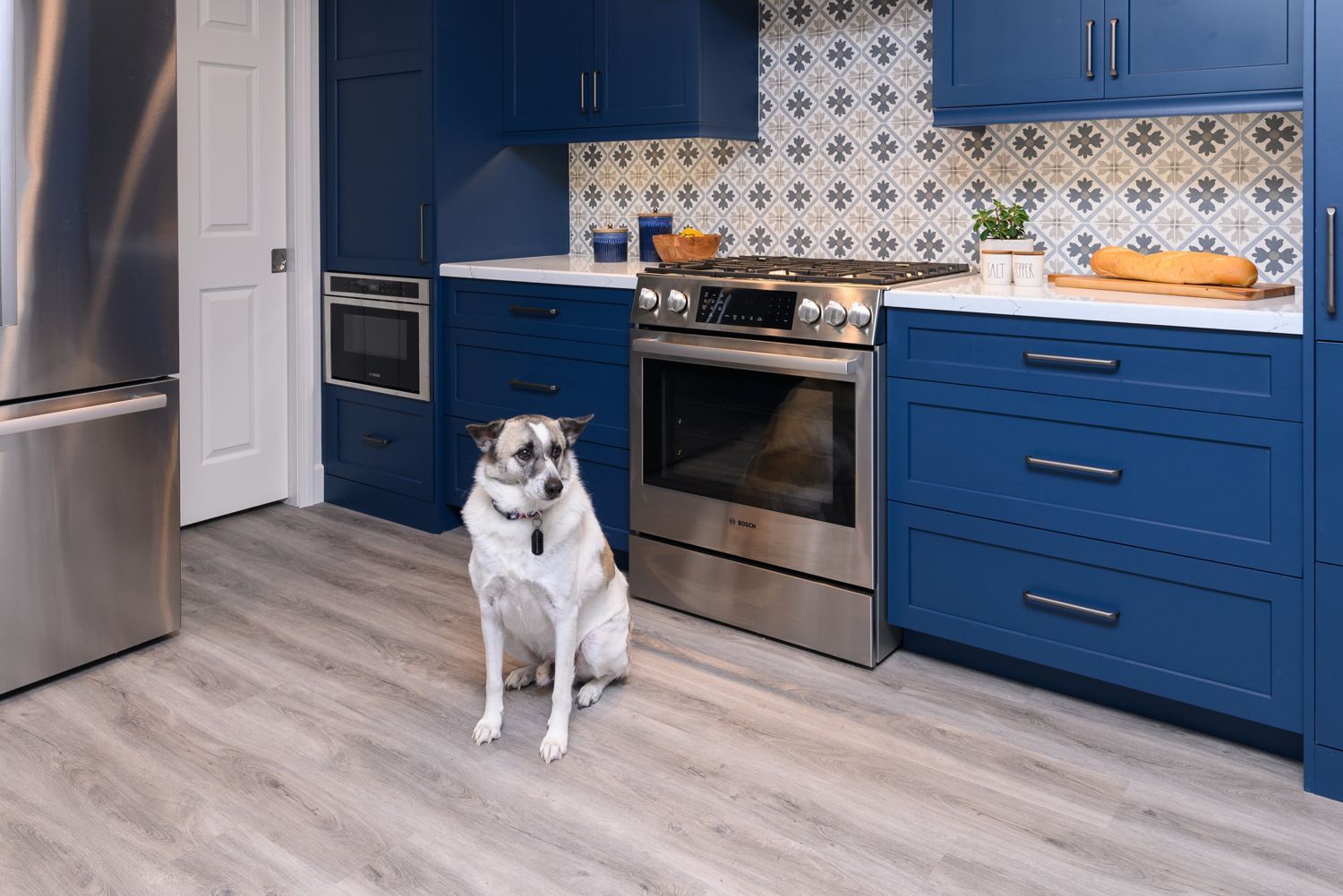 Dog poses in front of range, new kitchen remodel, Newbury Park, CA