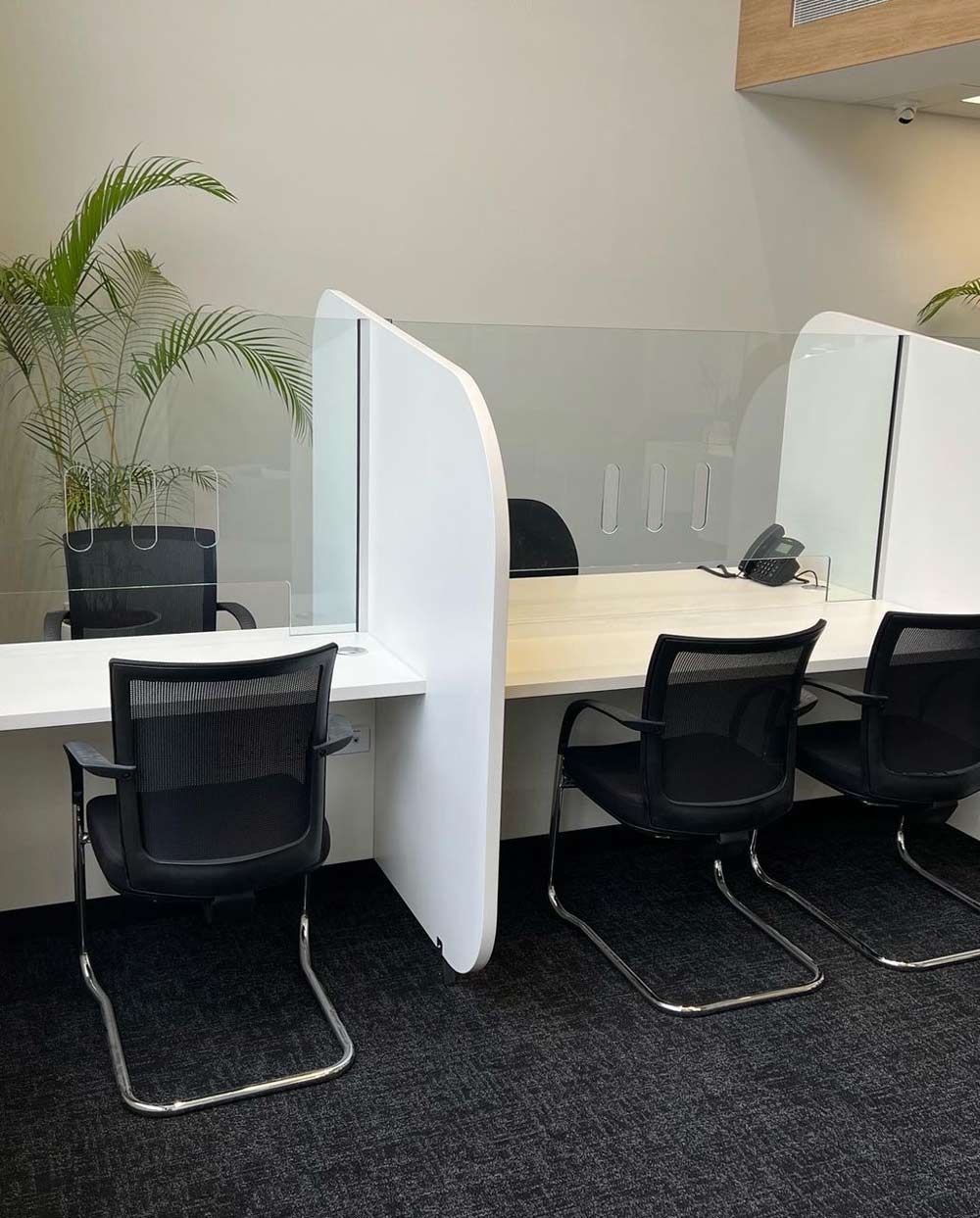 A Room With Three Desks And Chairs And A Plant — Rooney Glass in Coffs Harbour, NSW
