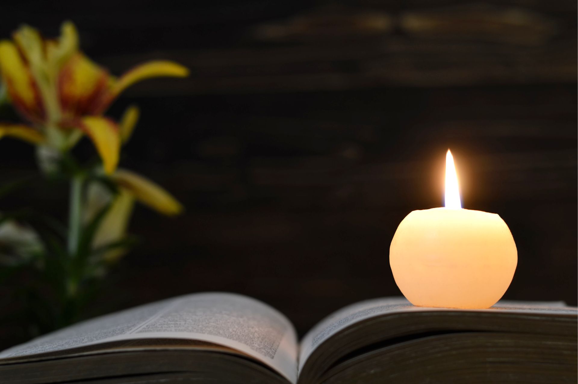 Libro delle firme