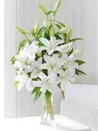 mazzo di fiori bianco