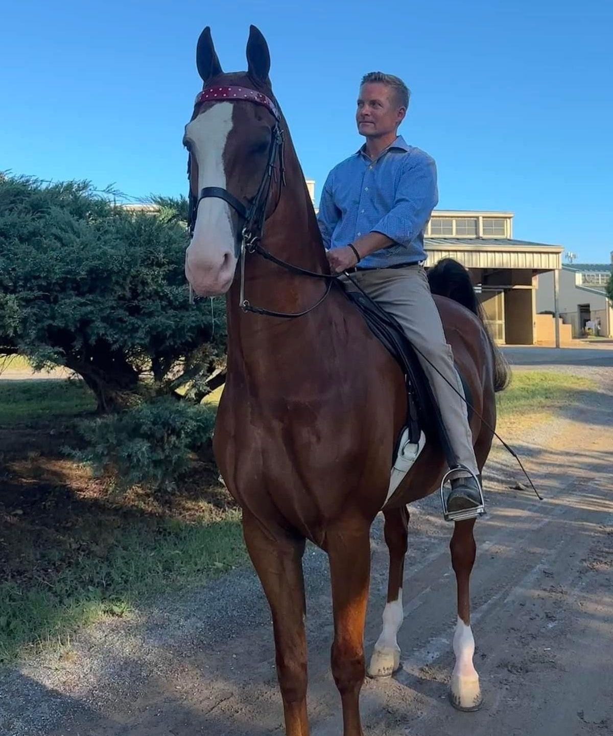 photo of Lenux trainer Quintus VanderSpuy and CH  Absolutely Nuts ready to warm up at horse show