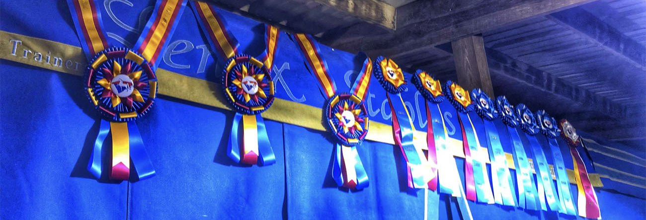 photo of Lenux Stables horse show curtain displaying winning ribbons