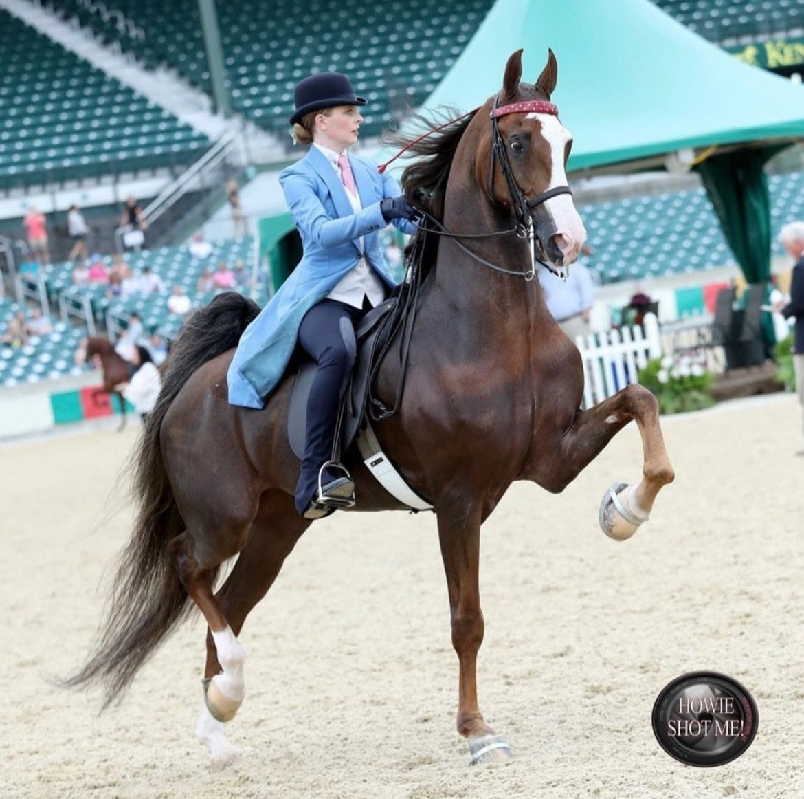 photo of girl riding American Saddlebred horse at Lexington Jr. League horse show