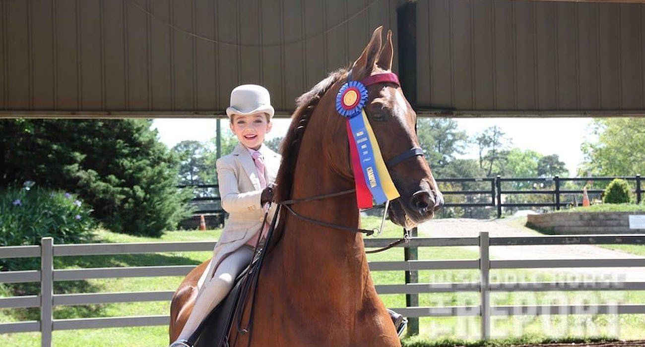 photo of girl on American Saddlebred horse wearing championship ribbon