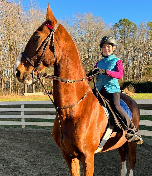 photo of girl sitting on American Saddlebred horse, holding reins