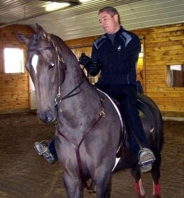 photo of Lenux Stables instructor Mike Setzer on American Saddlebred horse