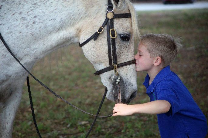 photo of young boy kissing American Saddlebred horse on nose