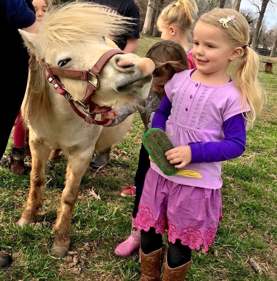 photo of young girl with white miniature pony named 