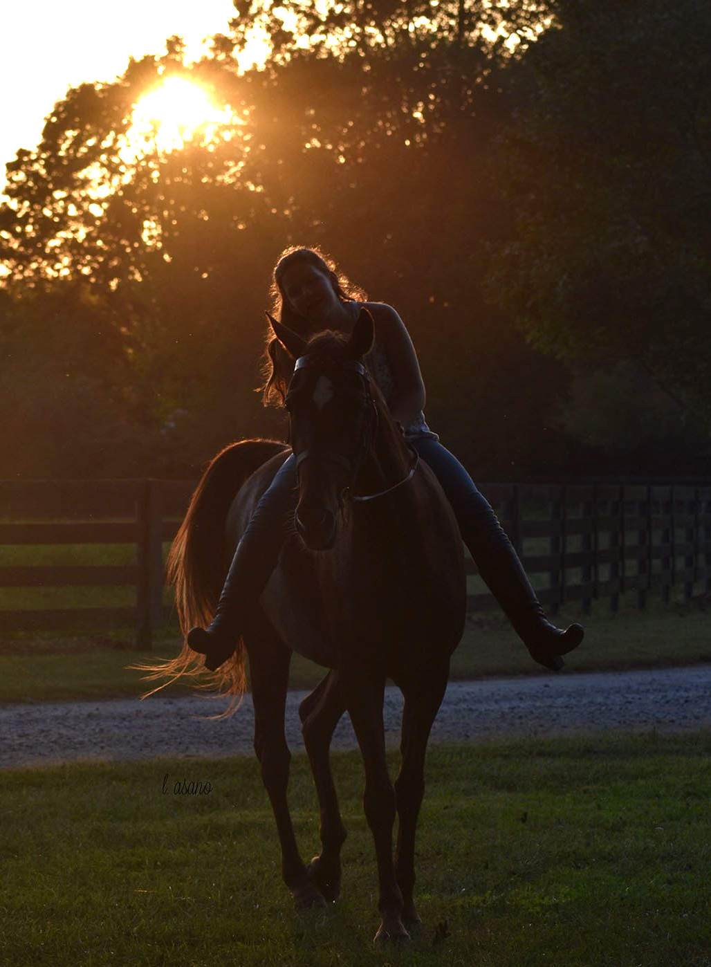 photo of girl on American Saddlebred with setting sun in background