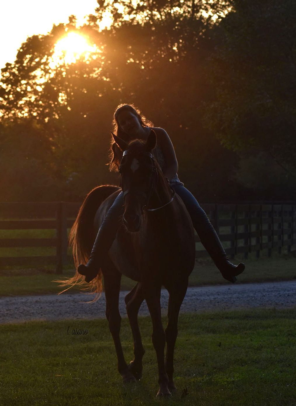 photo of girl on American Saddlebred with setting sun in background