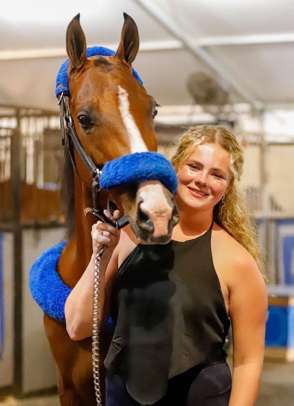 photo of girl sitting on and hugging black American Saddlebred ho