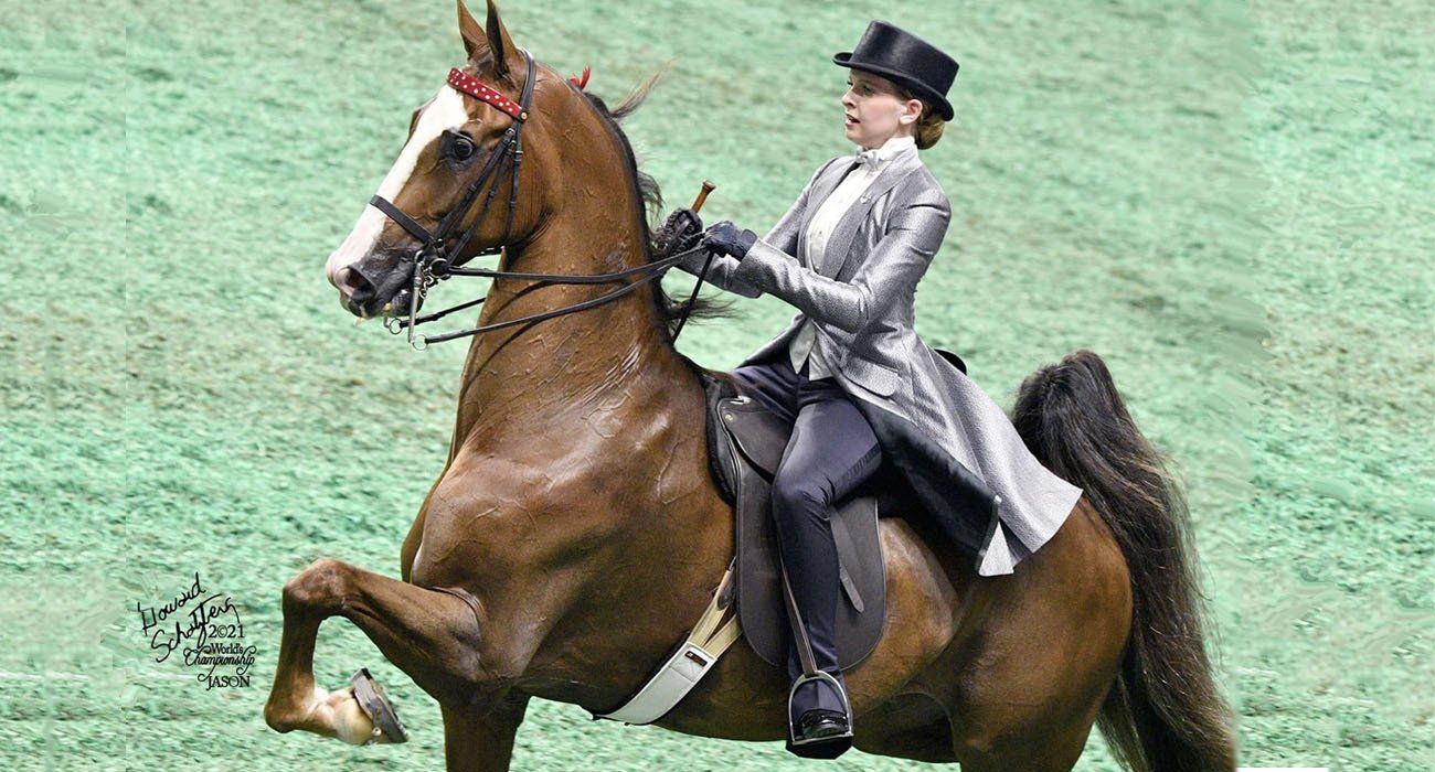 photo of rider showing American Saddlebred horse at World's Championship Horse Show