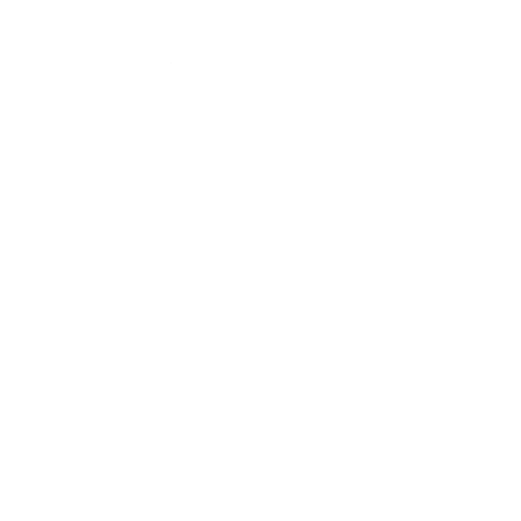 Five Wives Vodka Logo