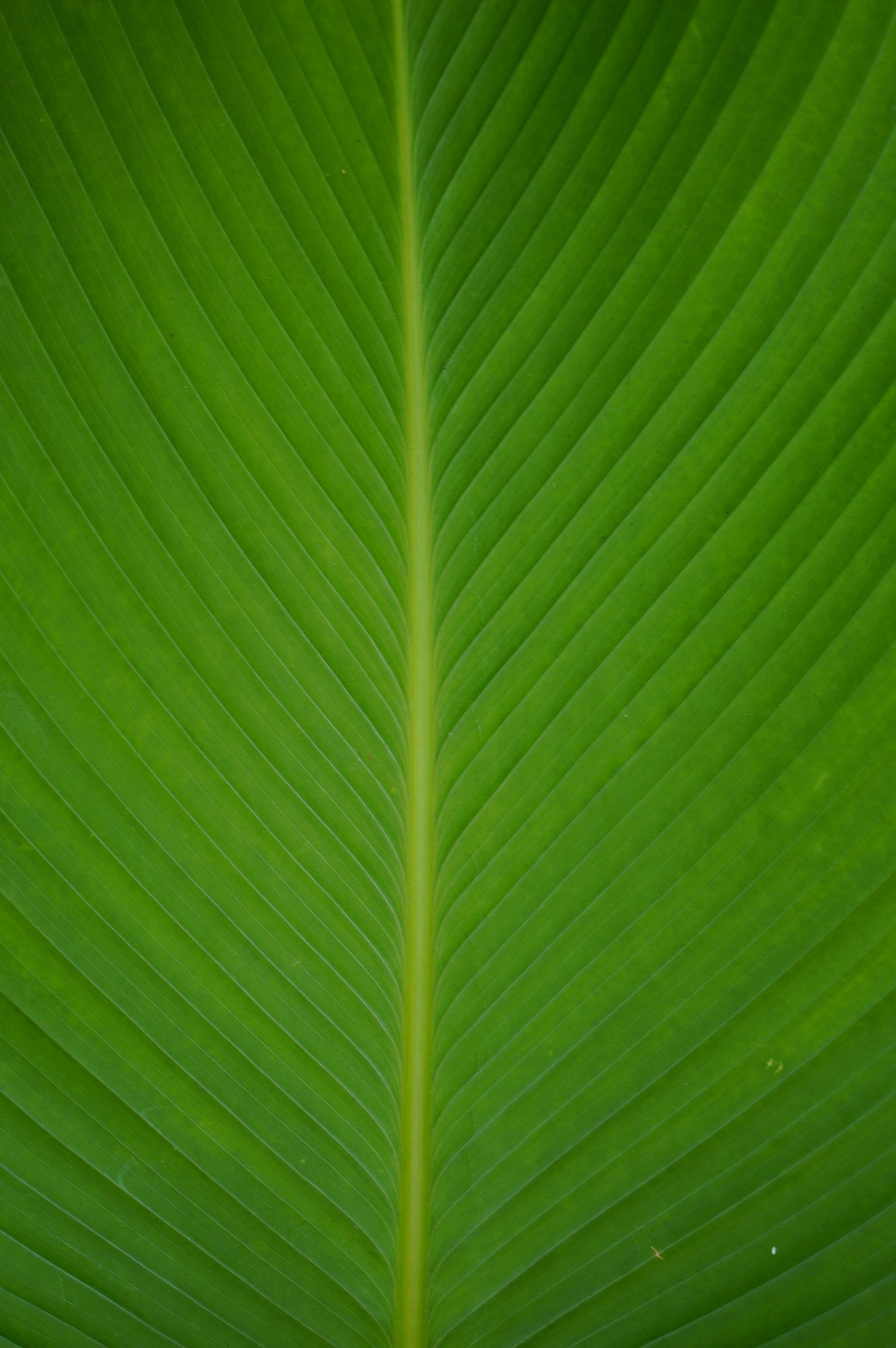 Un professionista seduto alla sua scrivania, con un computer portatile e dei documenti, in un ufficio luminoso e moderno, guarda direttamente in camera.