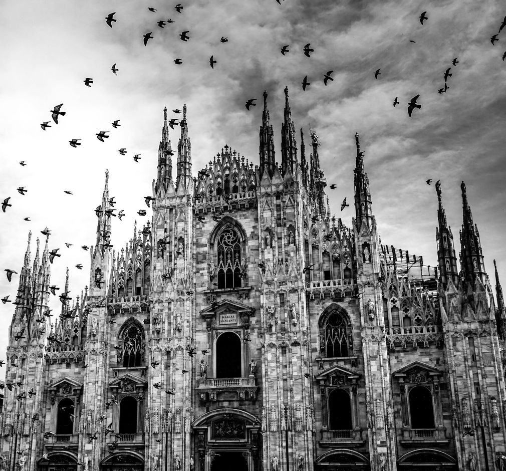 Foto in bianco e nero del Duomo di Milano, con numerosi uccelli che volano nel cielo nuvoloso sopra l'intricata architettura gotica.
