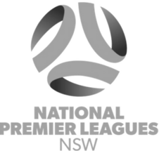 Sports Medicine Australia logo: a stylized globe with Australia at the center, beside text.