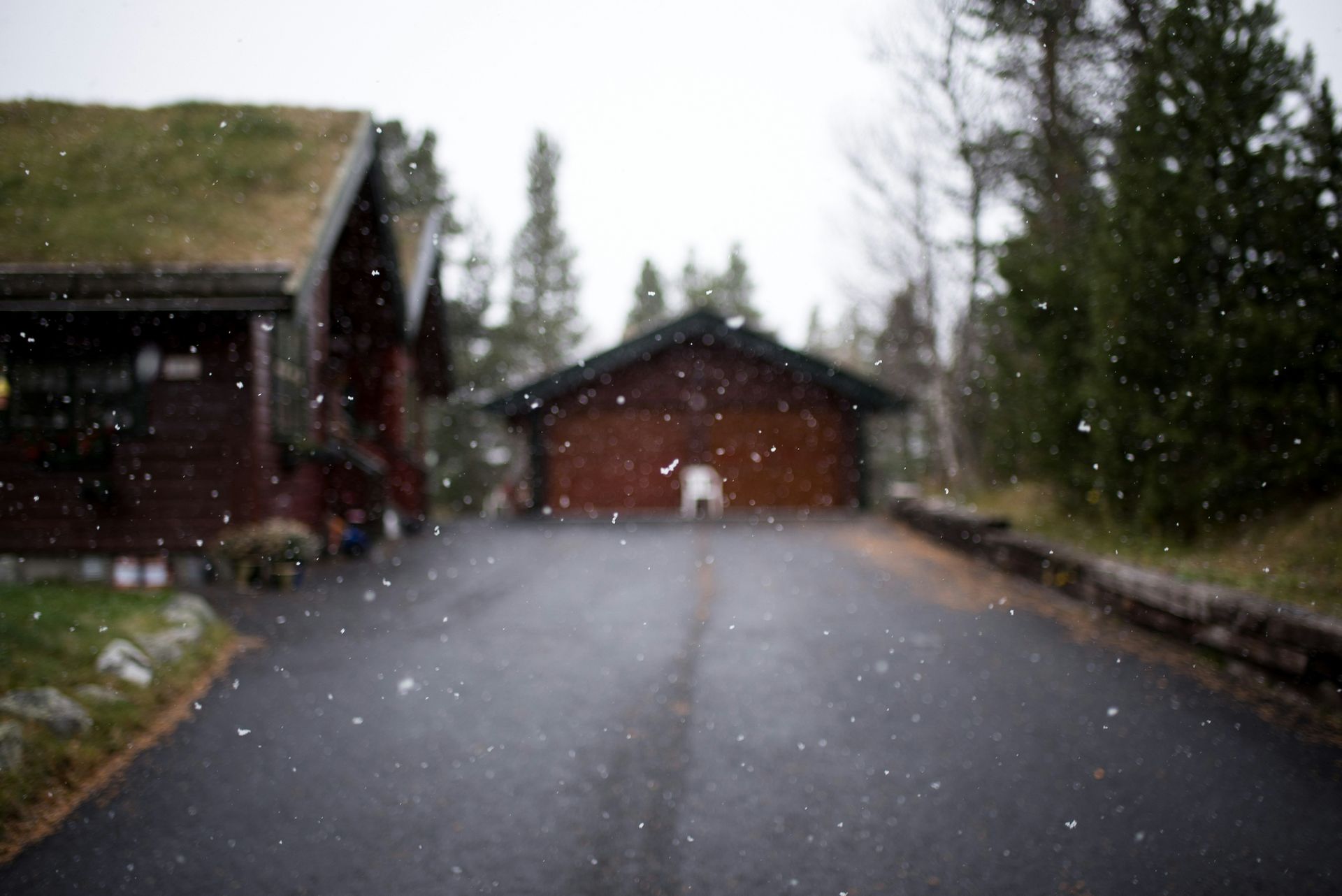 A snowy driveway leading to a house with a green roof.