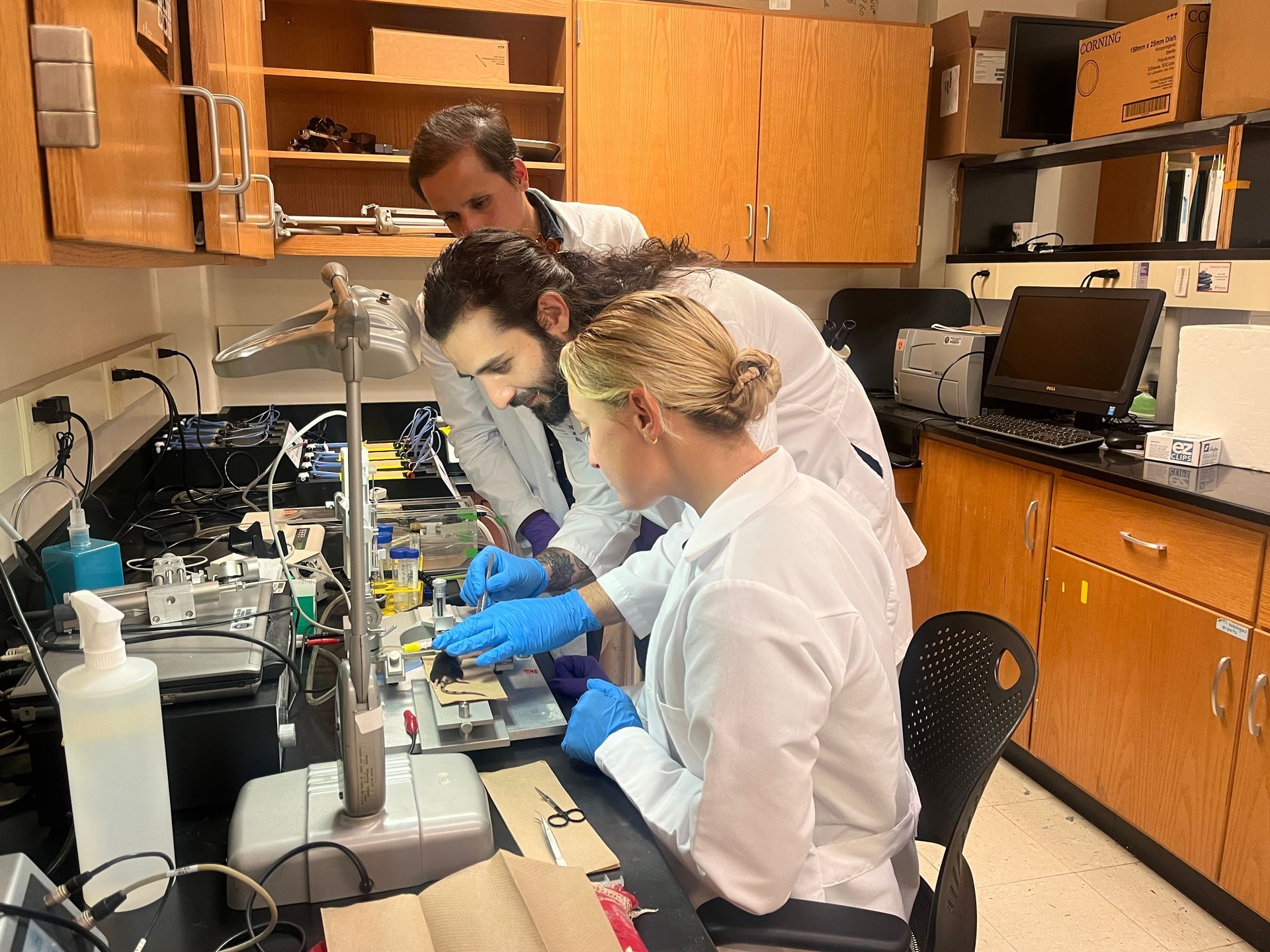 A group of people are working in a lab.