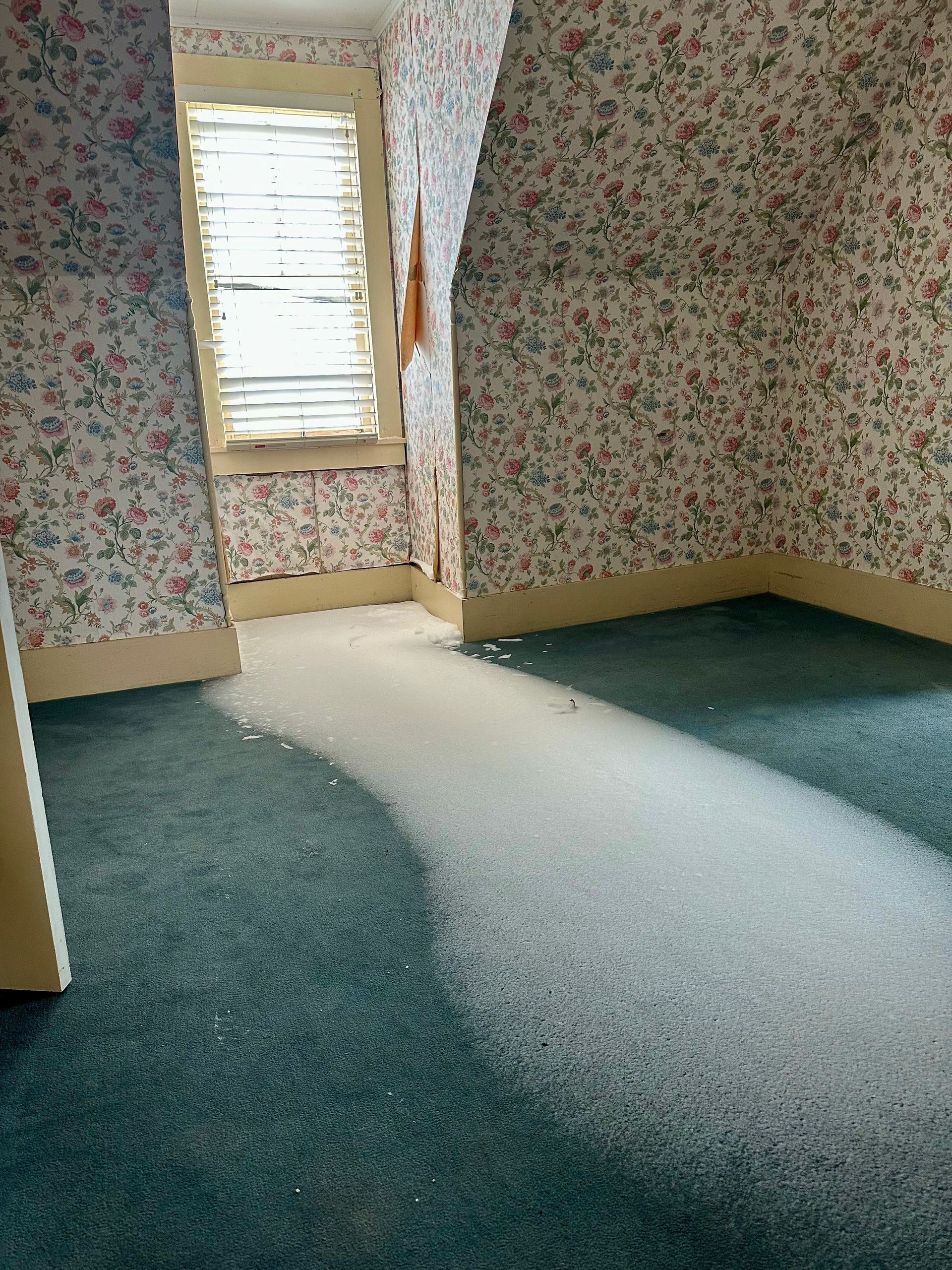 Sunset over a lake dotted with boats, framed by trees silhouetted against orange and blue sky.
