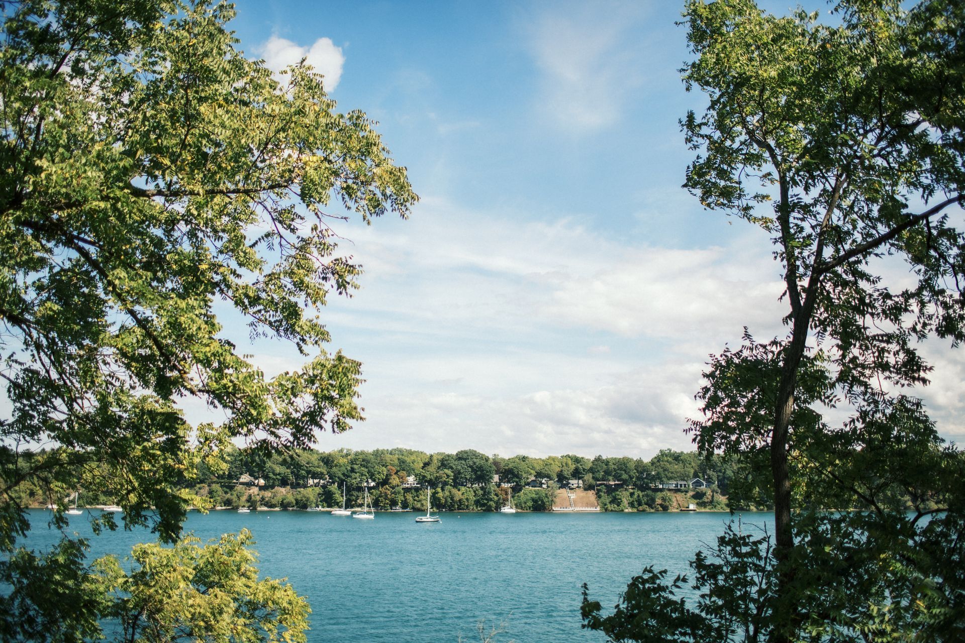 Bedroom with a double bed, nightstand, lamp, and window with blinds. Blue walls, beige carpet.