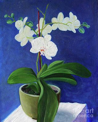 A painting of a white orchid in a green pot on a table.