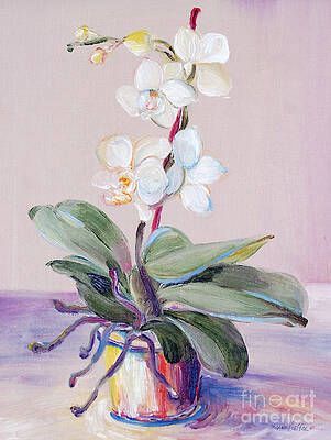 A painting of a white orchid in a vase on a table.