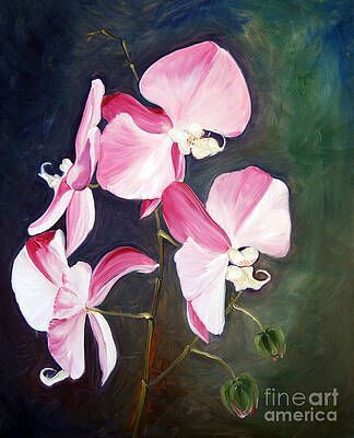 A painting of pink and white orchids on a dark background.