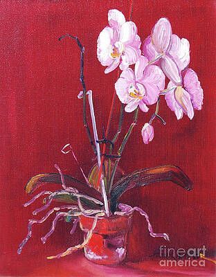 A painting of a potted orchid on a red background.