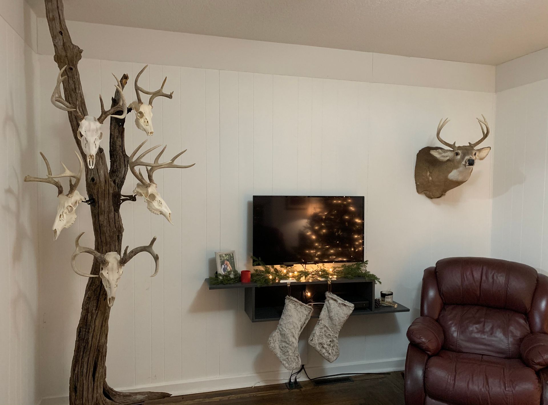 A living room with a tree with deer skulls on it and a television.