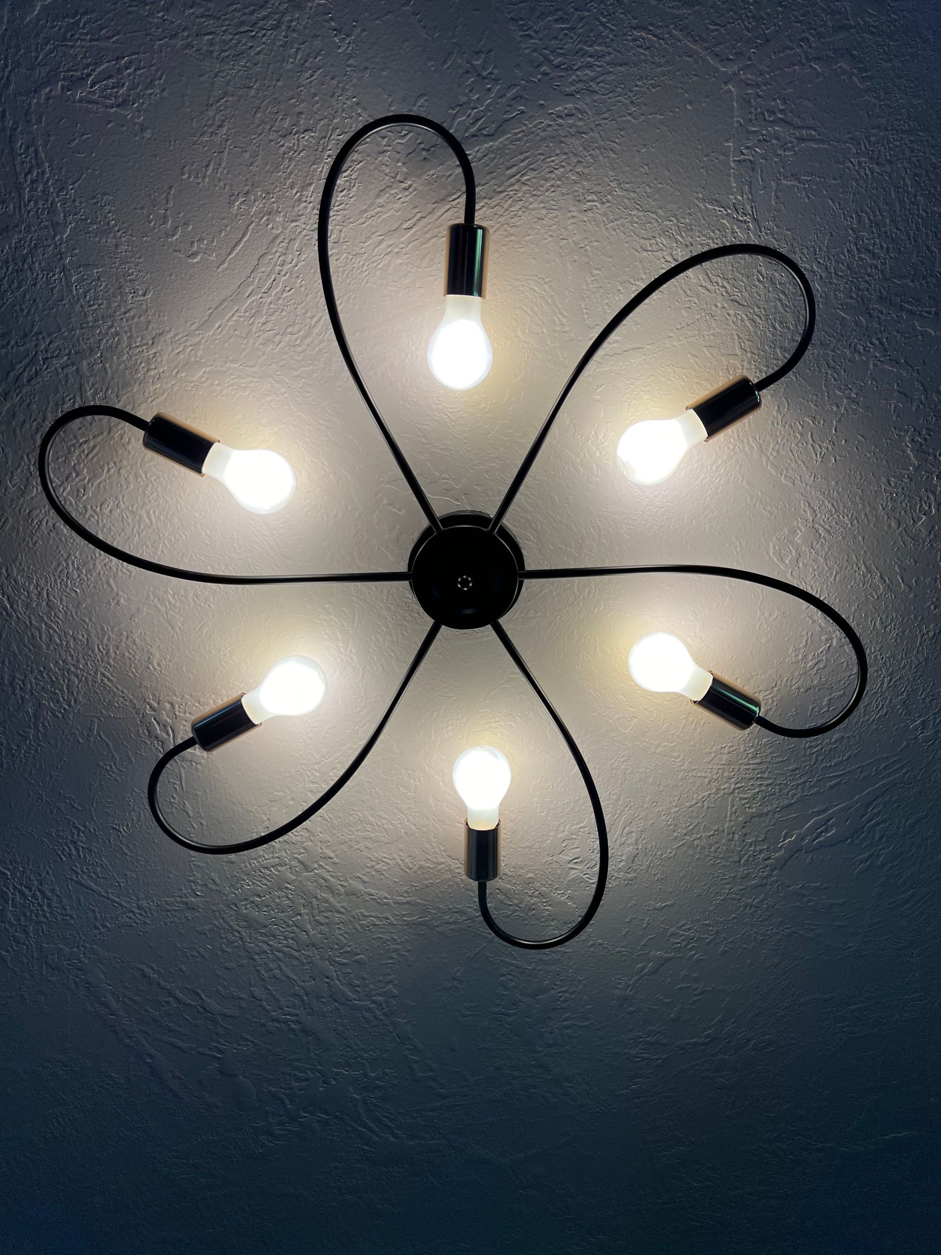 A light fixture that looks like a flower is hanging from the ceiling.