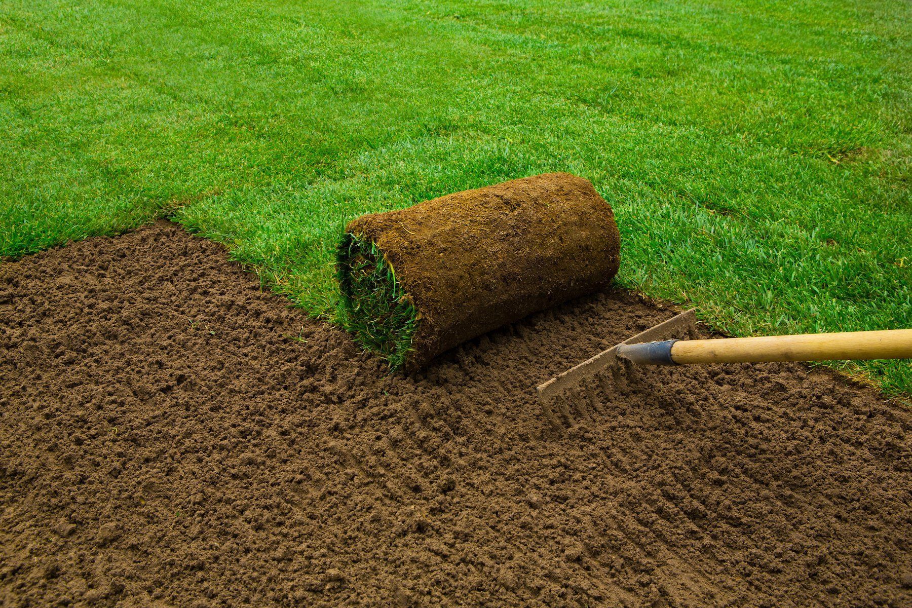 A sod roll being laid on bare soil beside a green lawn with a shovel handle nearby