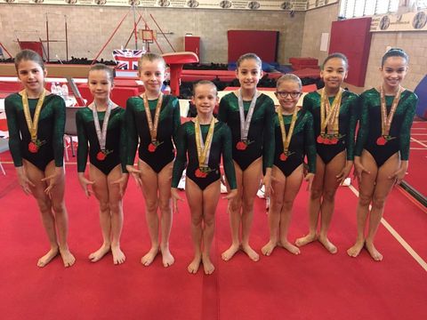 Gymnasts from the Marcia Rose round at the National Roses competition