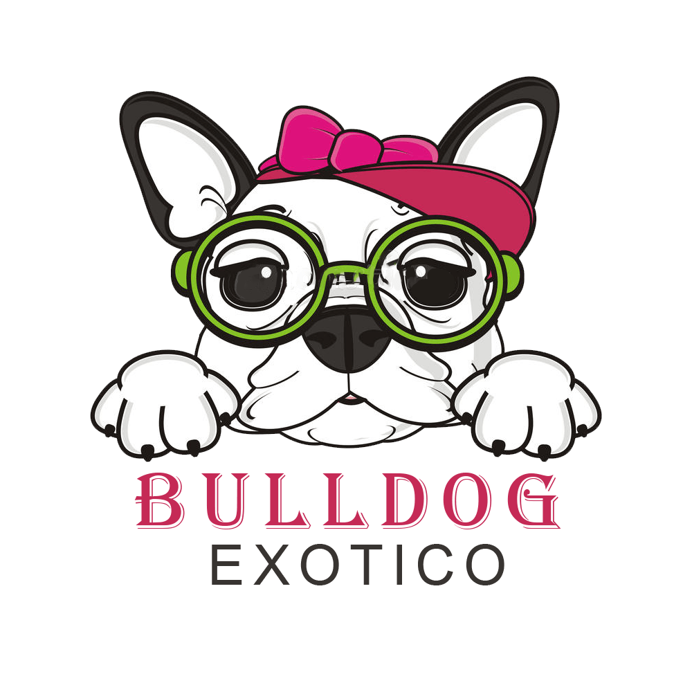 bulldog frances en venta logo