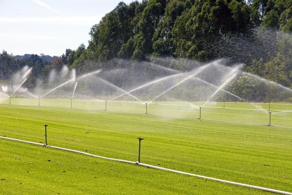 Sprinkler in Field — Irrigation Supplies in Yeppoon, QLD