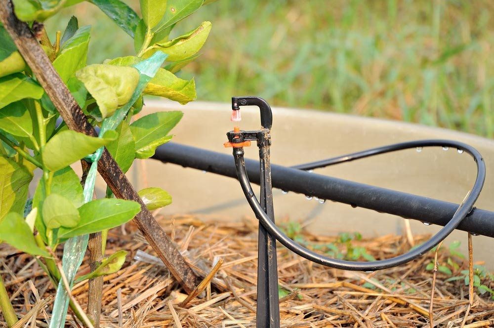Automatic Drip Irrigation — Irrigation Supplies in Yeppoon, QLD
