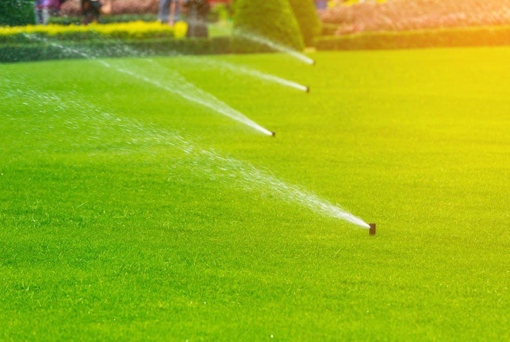 Automatic Lawn Sprinkle System — Irrigation Supplies in Yeppoon, QLD