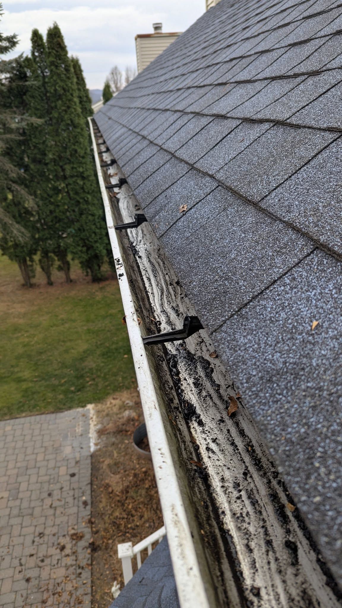 A gutter on a roof with a lot of leaves on it.