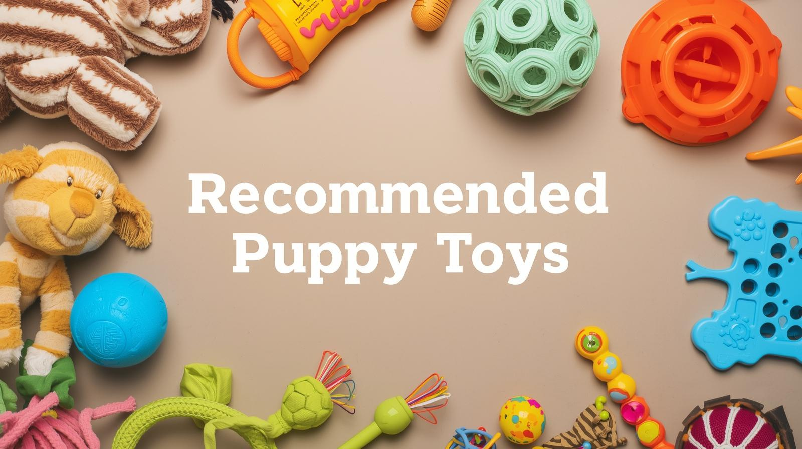 flat lay of recommended safe puppy toys including Toppl, tug toy, and dental chew