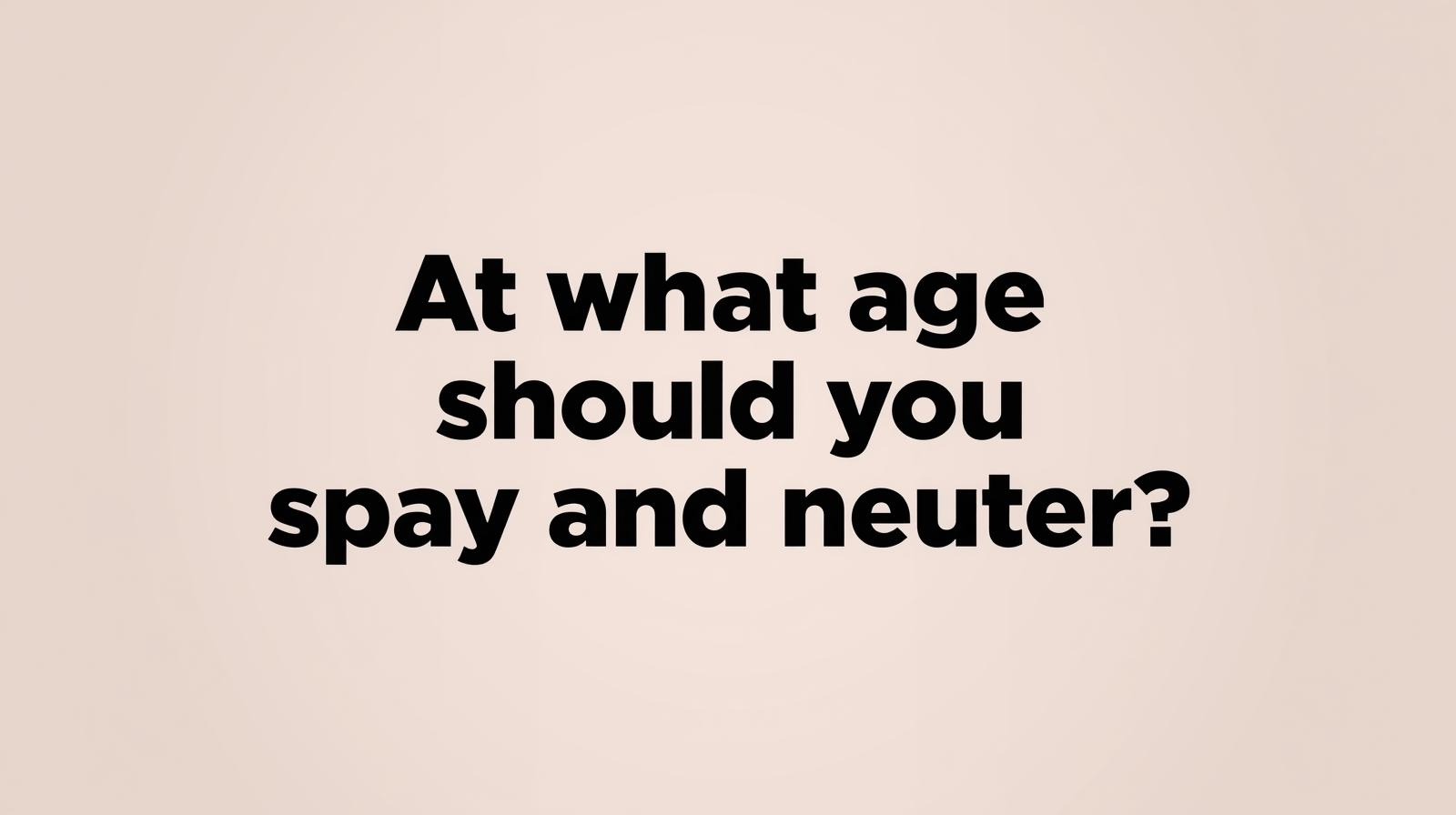 graphic asking timing considerations for spaying and neutering puppies
