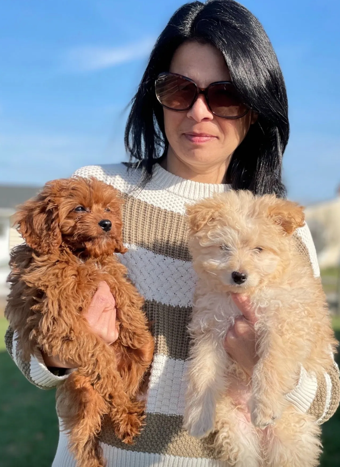 Wenger Family - Homemade Puppies Wenger Family - Homemade Puppies