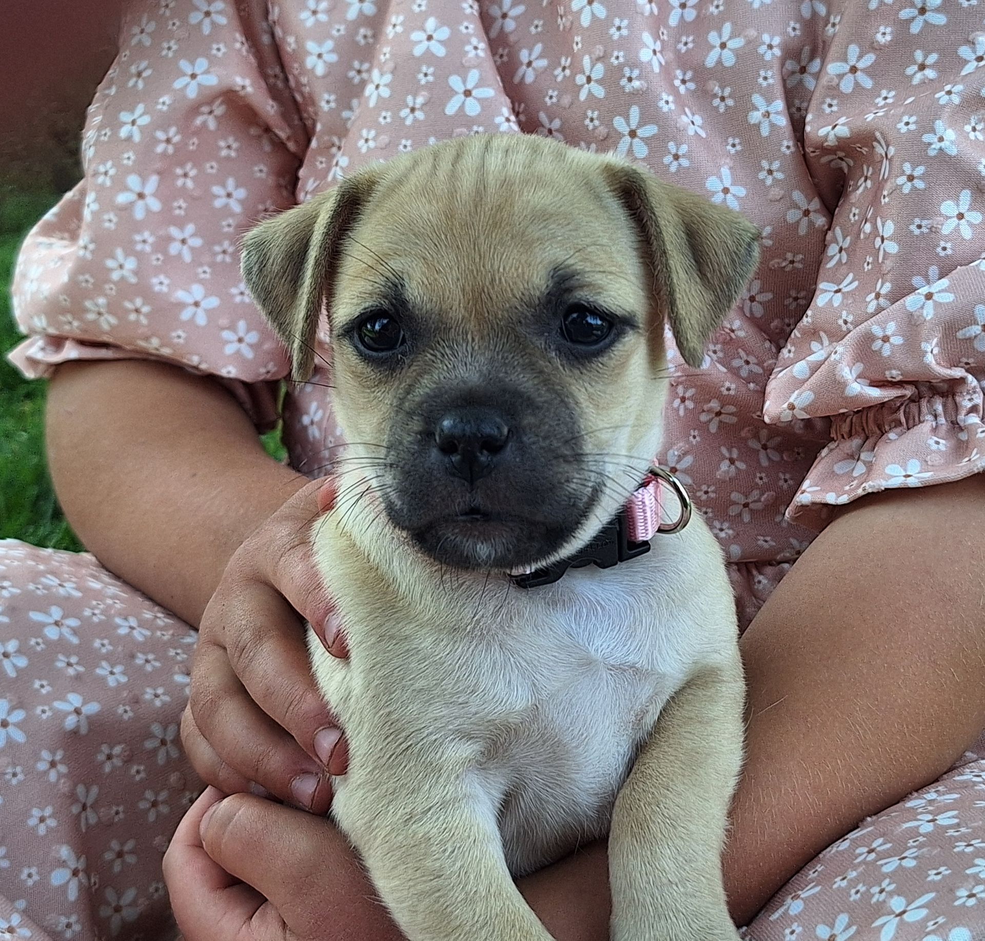 Sage - Jug (Female) $900